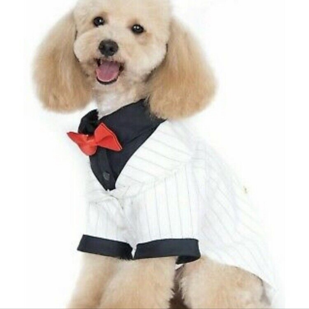 New Alfie Oscar White Tuxedo Formal Suit Pet Costume Bowtie Necktie XS (E2)
